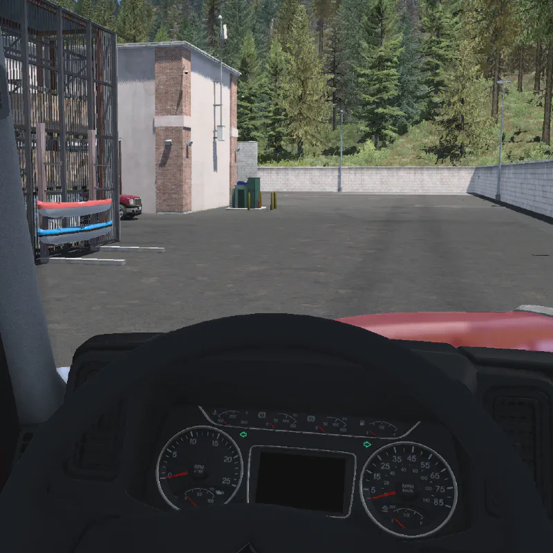 LT/LoneStar Realistic Blinker Speed